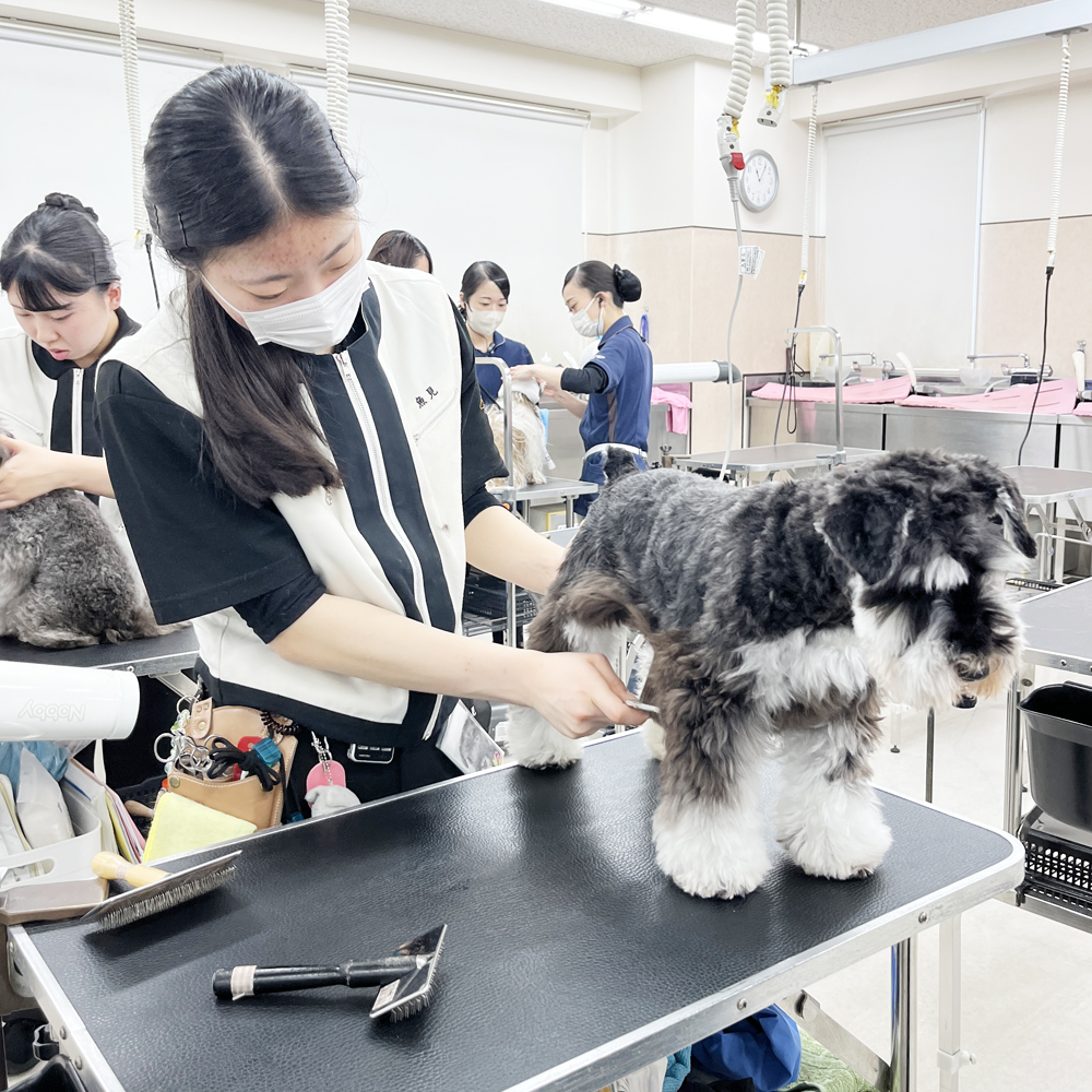 ２年生のトリミング実習♪